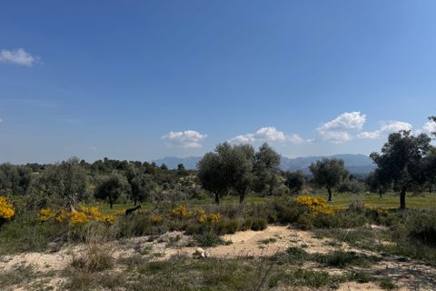 Tomt i Cretas, Teruel, Cretas - € 168 000 | Ref: Immad - foto 8